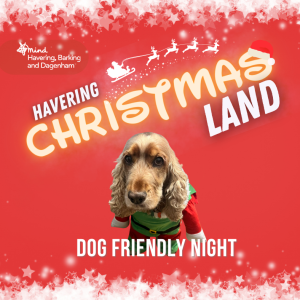 Christmas Walkway Dog friendly session